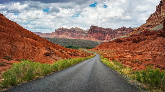 Why More People Are Taking the Scenic Route This Summer