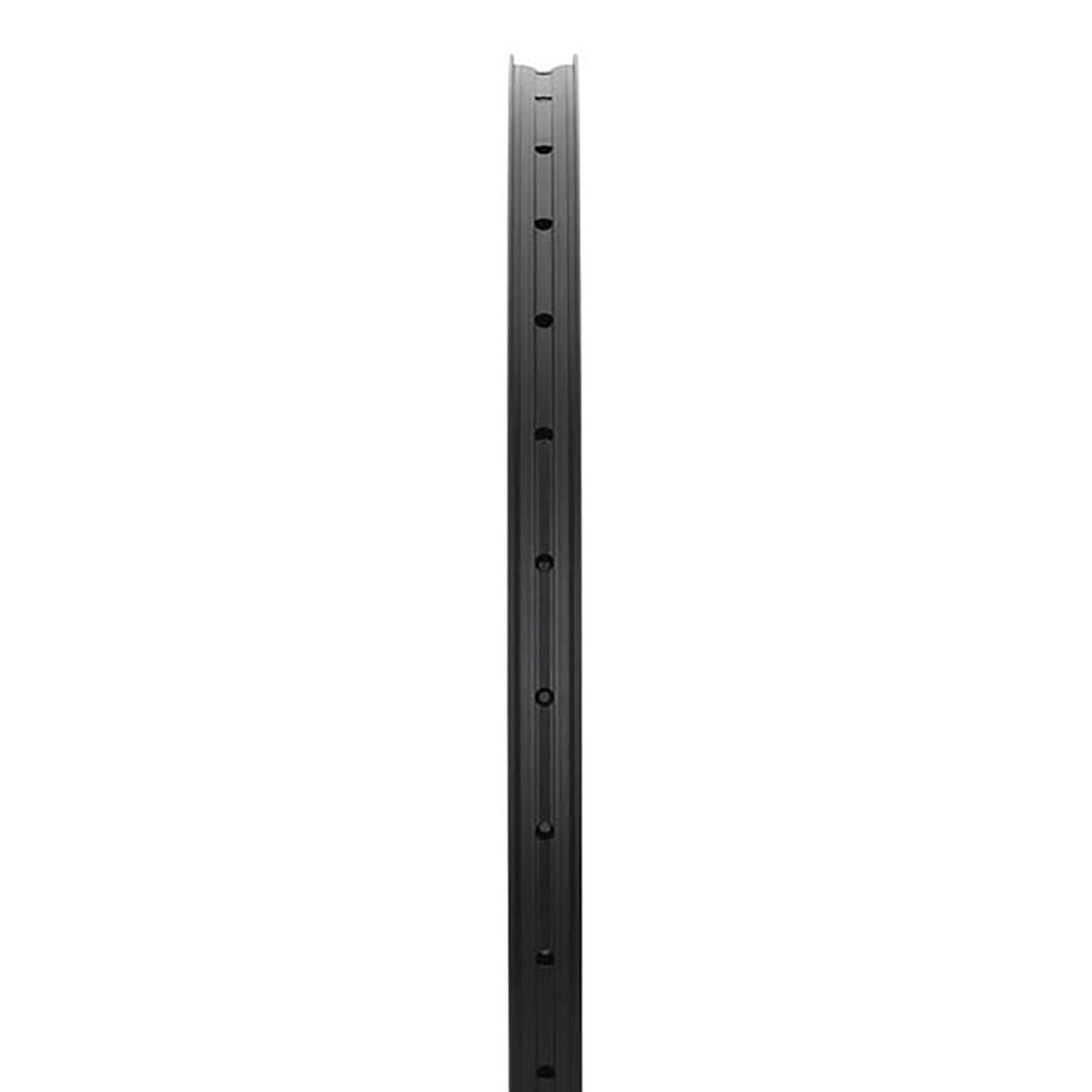 NEWMEN - Rim - Beskar 30 Base - [D]