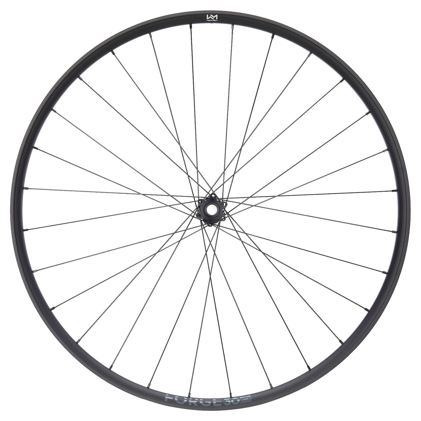NEWMEN Front Wheel - Forge 30 light 29" 28h FADE SP 6B 15x110 - XC