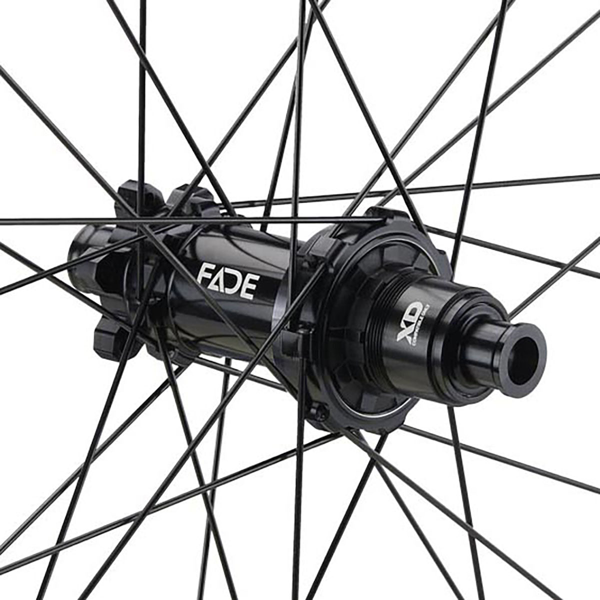 NEWMEN - Wheel (Rear) - Beskar 30 Light | Cross Country - [D]