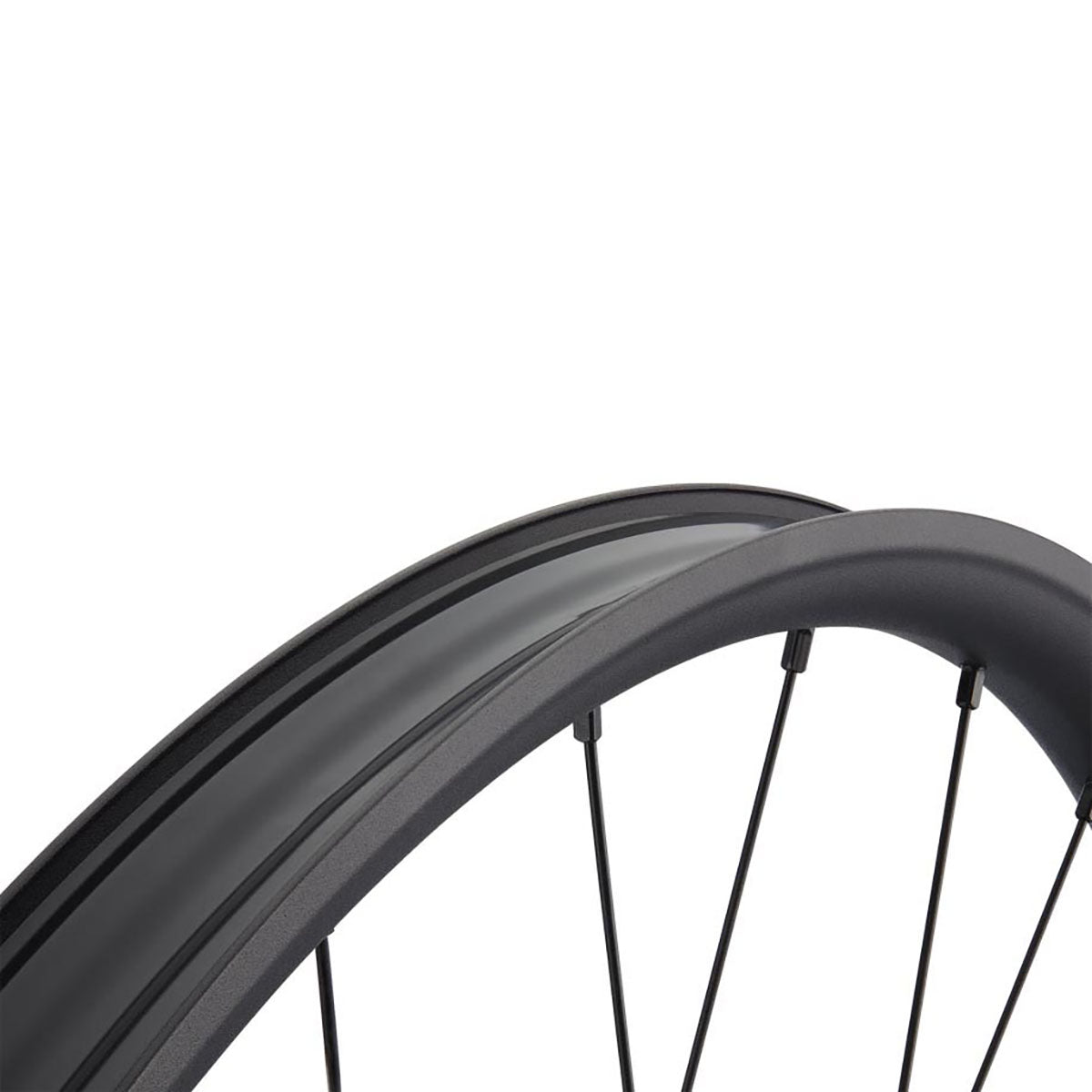 NEWMEN - Wheel (Rear) - Beskar 30 Base | Trail - [D]