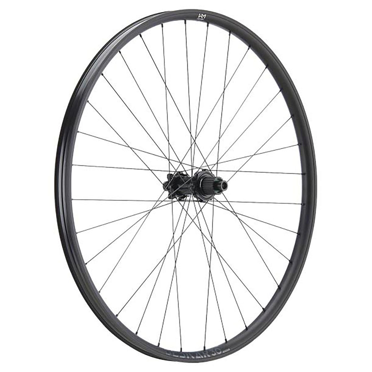 NEWMEN Rear Wheel - Beskar 30 base 29" 28h FADE SP 6B 12x148 XD - Trail
