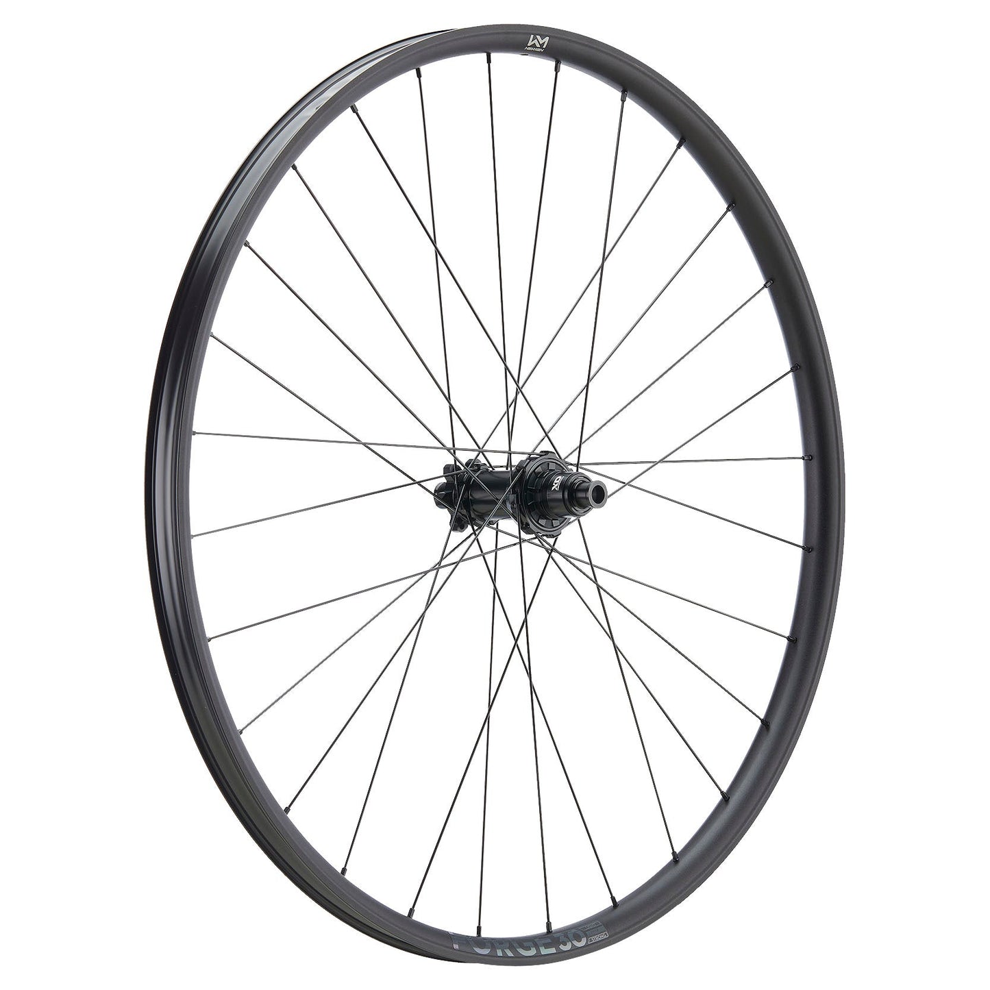 NEWMEN - Wheel (Front) - Forge 30 Base | Trail - [D]