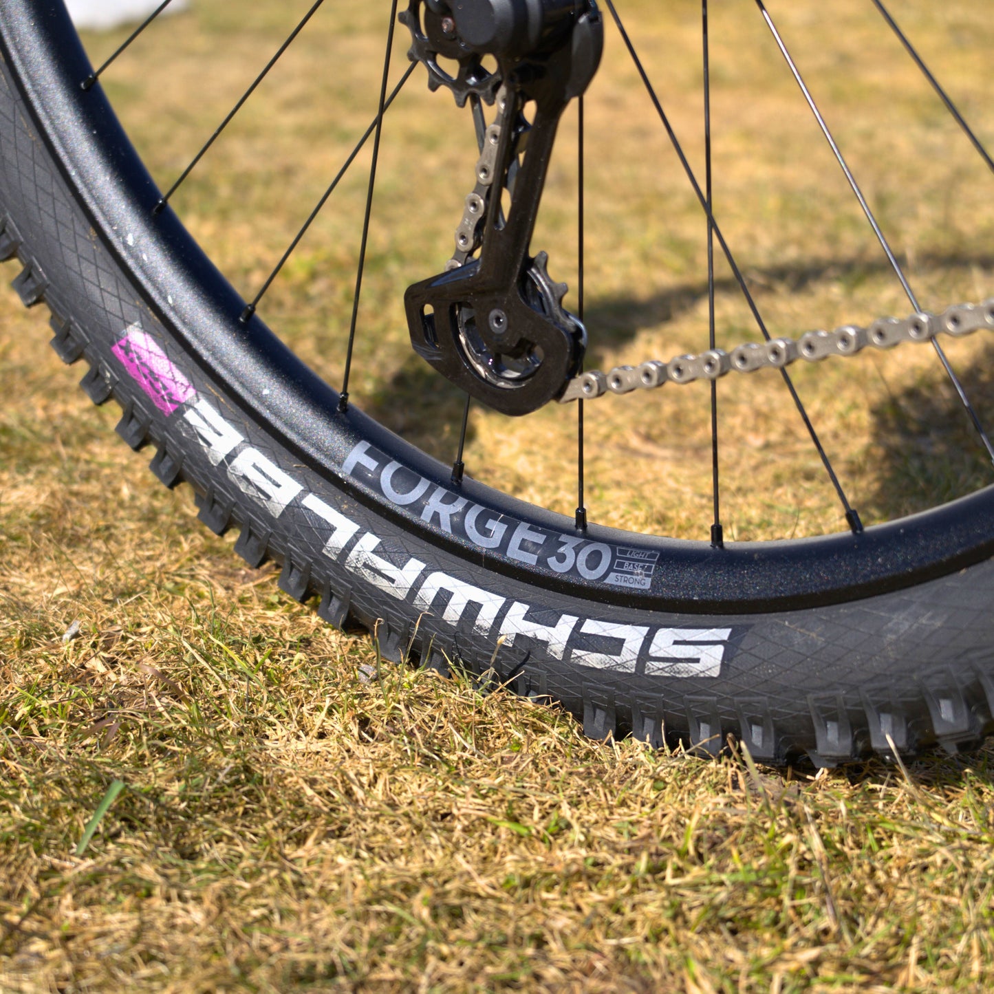 NEWMEN - Wheel (Front) - Forge 30 DH | Downhill - [D]