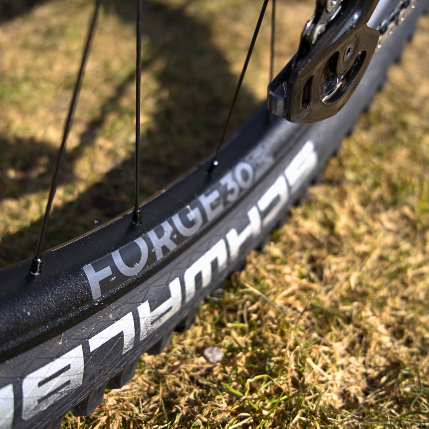 NEWMEN - Wheel (Rear) - Forge 30 DH | Downhill - [D]