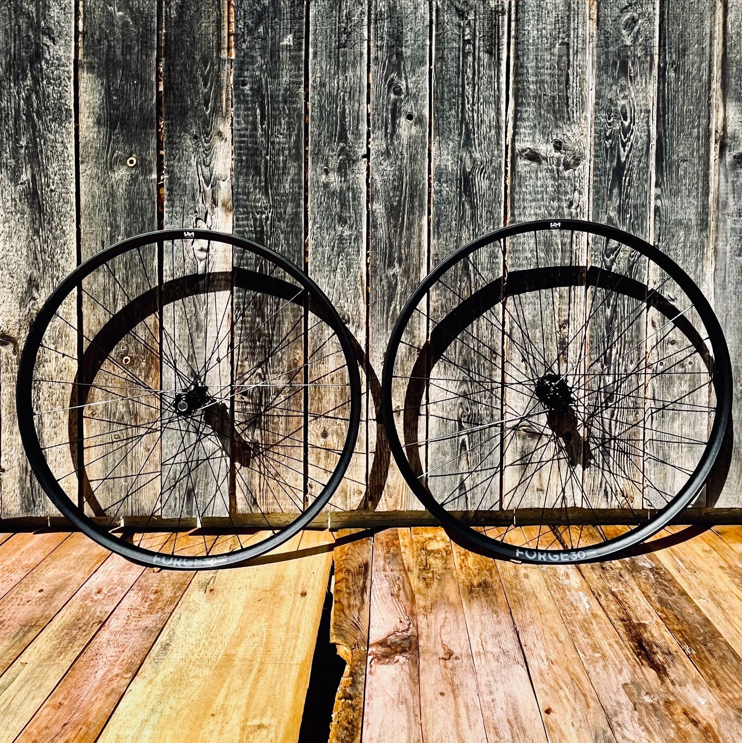 NEWMEN - Wheel (Rear) - Forge 30 DH | Downhill - [D]