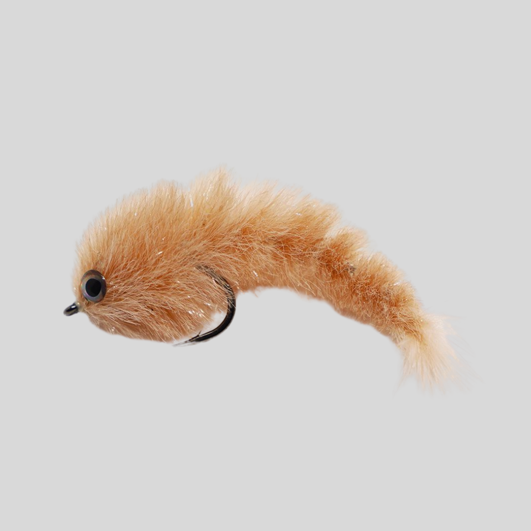 Next Minnow Changer - #2