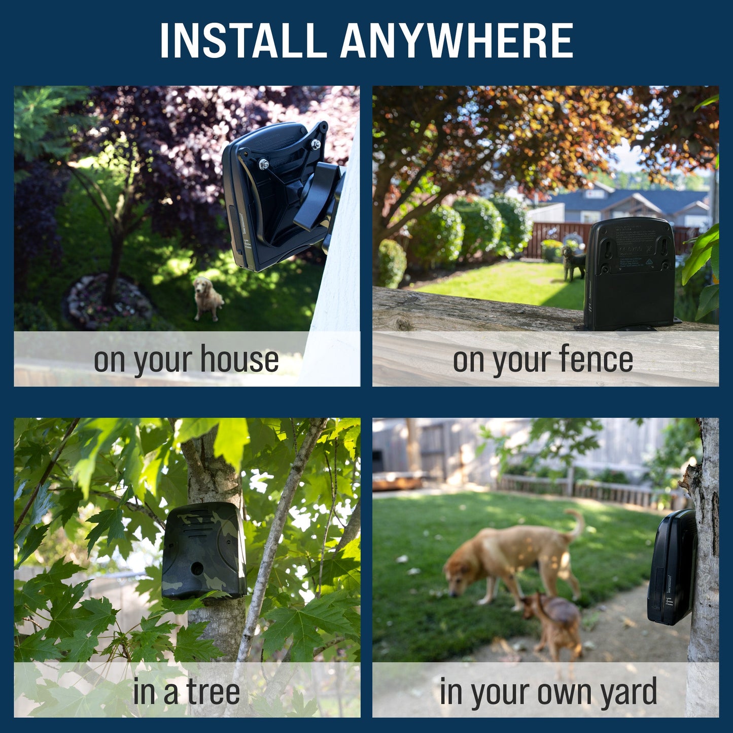 Discreet Neighbor Pack – MAX
