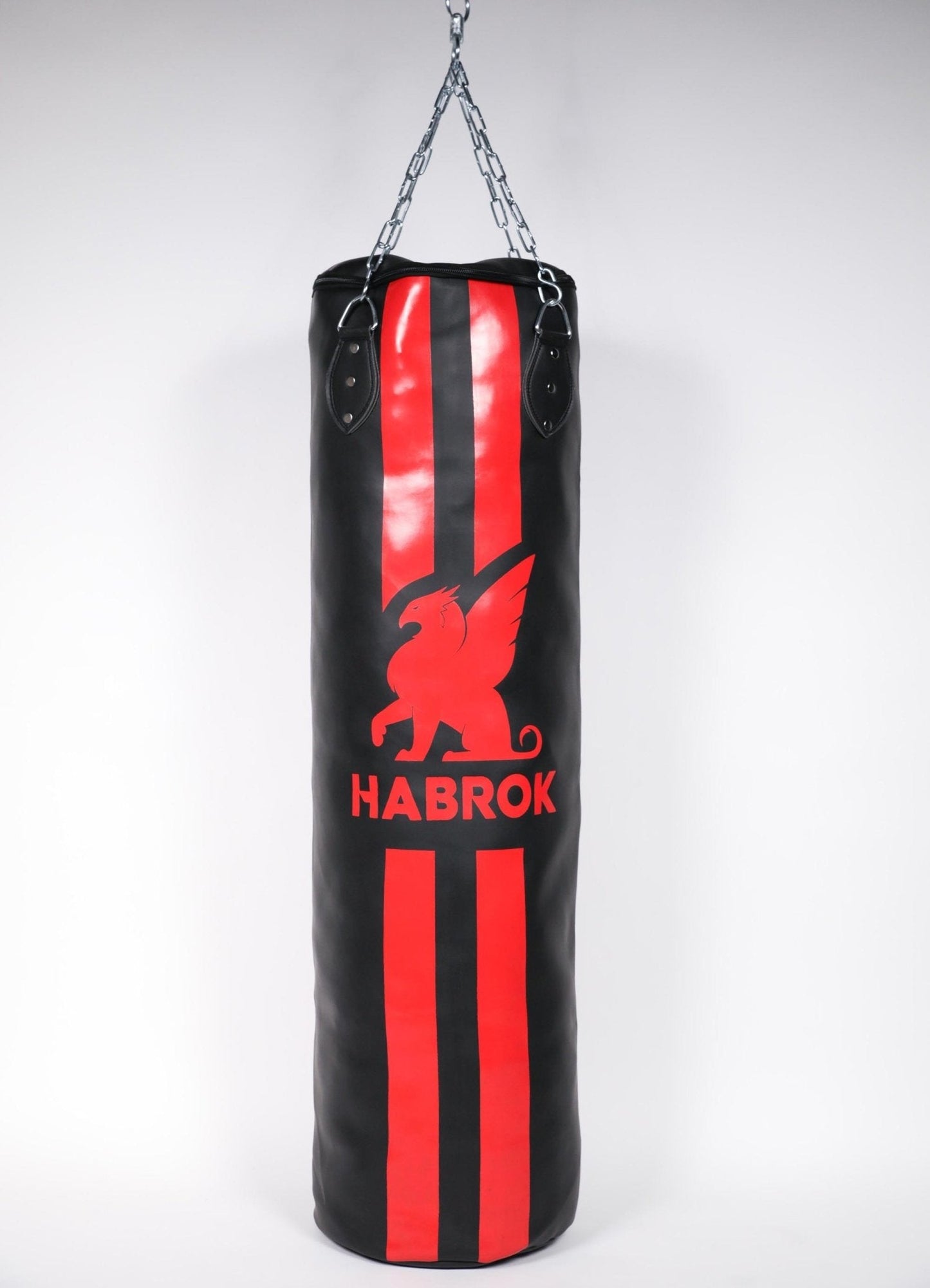 X 2.0 | Punching Bag |